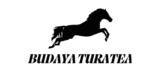 black modern fast horse logo removebg preview